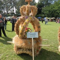 Zobacz w powiększeniu: Dozynki Powiatowe 2010 (25)