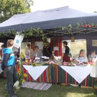 Zobacz w powiększeniu: Dozynki Powiatowe 2010 (27)