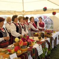 Zobacz w powiększeniu: Dozynki Powiatowe 2010 (29)