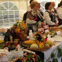 Zobacz w powiększeniu: Dozynki Powiatowe 2010 (30)