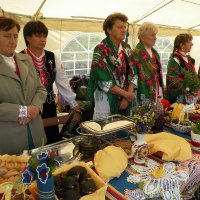 Zobacz w powiększeniu: Dozynki Powiatowe 2010 (31)