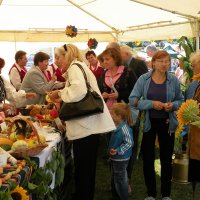 Zobacz w powiększeniu: Dozynki Powiatowe 2010 (32)