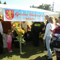 Zobacz w powiększeniu: Dozynki Powiatowe 2010 (33)