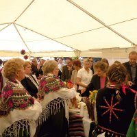 Zobacz w powiększeniu: Dozynki Powiatowe 2010 (35)