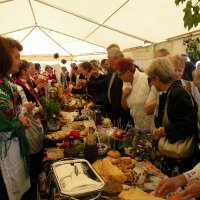 Zobacz w powiększeniu: Dozynki Powiatowe 2010 (36)