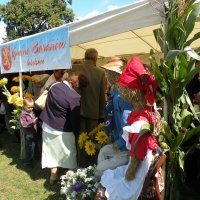 Zobacz w powiększeniu: Dozynki Powiatowe 2010 (37)