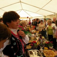 Zobacz w powiększeniu: Dozynki Powiatowe 2010 (38)