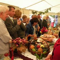 Zobacz w powiększeniu: Dozynki Powiatowe 2010 (44)