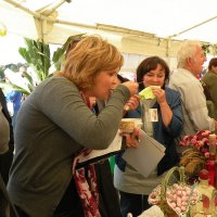 Zobacz w powiększeniu: Dozynki Powiatowe 2010 (45)