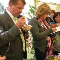 Zobacz w powiększeniu: Dozynki Powiatowe 2010 (46)