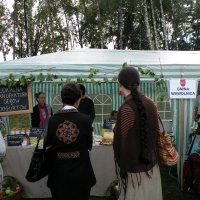 Zobacz w powiększeniu: Dozynki Powiatowe 2010 (53)