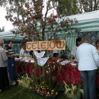 Zobacz w powiększeniu: Dozynki Powiatowe 2010 (54)