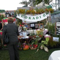 Zobacz w powiększeniu: Dozynki Powiatowe 2010 (56)