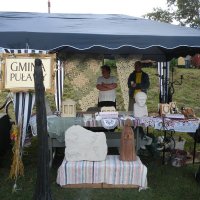 Zobacz w powiększeniu: Dozynki Powiatowe 2010 (57)