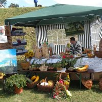 Zobacz w powiększeniu: Dozynki Powiatowe 2010 (60)