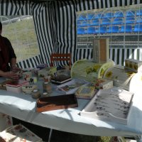 Zobacz w powiększeniu: Dozynki Powiatowe 2010 (61)