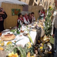 Zobacz w powiększeniu: Dozynki Powiatowe 2010 (64)