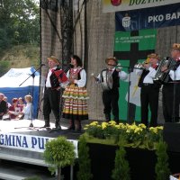 Zobacz w powiększeniu: Dozynki Powiatowe 2010 (66)