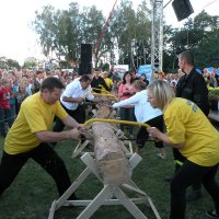 Zobacz w powiększeniu: Dozynki Powiatowe 2010 (3)