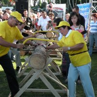 Zobacz w powiększeniu: Dozynki Powiatowe 2010 (4)