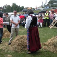 Zobacz w powiększeniu: Dozynki Powiatowe 2010 (12)