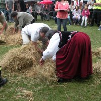 Zobacz w powiększeniu: Dozynki Powiatowe 2010 (13)