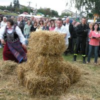 Zobacz w powiększeniu: Dozynki Powiatowe 2010 (14)