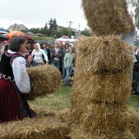 Zobacz w powiększeniu: Dozynki Powiatowe 2010 (15)