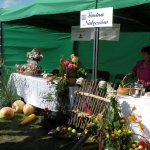 Obejrzyj galerię zdjęć: Dozynki Powiatowe 2010