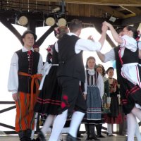 Zobacz w powiększeniu: GODEL 2010 (5)