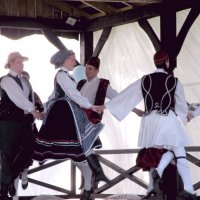Zobacz w powiększeniu: GODEL 2010 (8)
