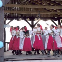 Zobacz w powiększeniu: GODEL 2010 (11)