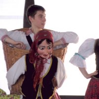 Zobacz w powiększeniu: GODEL 2010 (22)