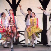 Zobacz w powiększeniu: GODEL 2010 (36)