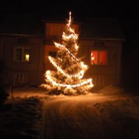 Zobacz w powiększeniu: Konkurs świąteczny 2010 (15)