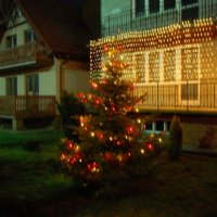 Zobacz w powiększeniu: Konkurs świąteczny 2010 (46)
