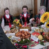 Zobacz w powiększeniu: X Powiatowy Dzień Kultury (1)