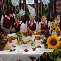 Zobacz w powiększeniu: X Powiatowy Dzień Kultury (3)