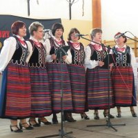 Zobacz w powiększeniu: X Powiatowy Dzień Kultury (6)