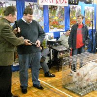 Zobacz w powiększeniu: WOŚP 2010 - Kłoczew (34)