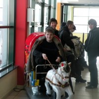 Zobacz w powiększeniu: Wyjazd na lodowisko (17)