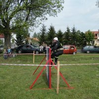 Zobacz w powiększeniu: Zawody Sportowo-Pożarnicze 2010 (19)