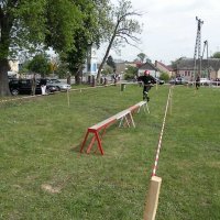 Zobacz w powiększeniu: Zawody Sportowo-Pożarnicze 2010 (35)