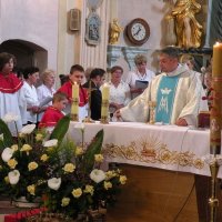 Zobacz w powiększeniu: Uroczystości 3-cio majowe 2011 (7)