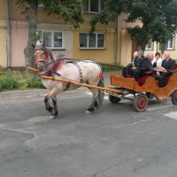Zobacz w powiększeniu: Dożynki Gminne 2011 (6)