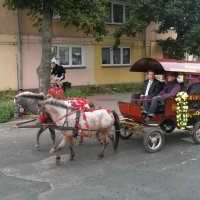 Zobacz w powiększeniu: Dożynki Gminne 2011 (7)