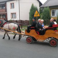 Zobacz w powiększeniu: Dożynki Gminne 2011 (8)