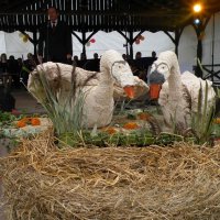 Zobacz w powiększeniu: Dożynki Gminne 2011 (45)