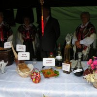 Zobacz w powiększeniu: Dożynki Gminne 2011 (56)