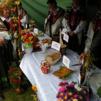 Zobacz w powiększeniu: Dożynki Gminne 2011 (58)